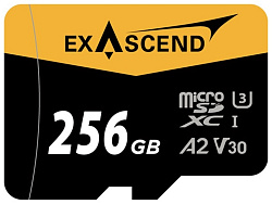Карта памяти EXASCEND Catalyst 256Gb (EX256GUSDU1-AD)