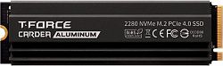 Жесткий диск SSD Team Group TM8FPR001T0C128