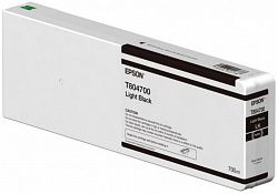 Картридж EPSON C13T804700