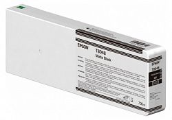 Картридж EPSON C13T804800