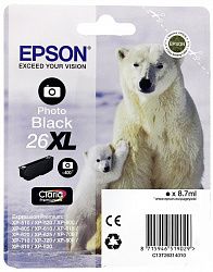 Картридж EPSON C13T16364012