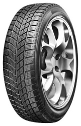 Автомобильная шина зимняя DoubleStar DW09 235/55/R20 102 H (без шипов)