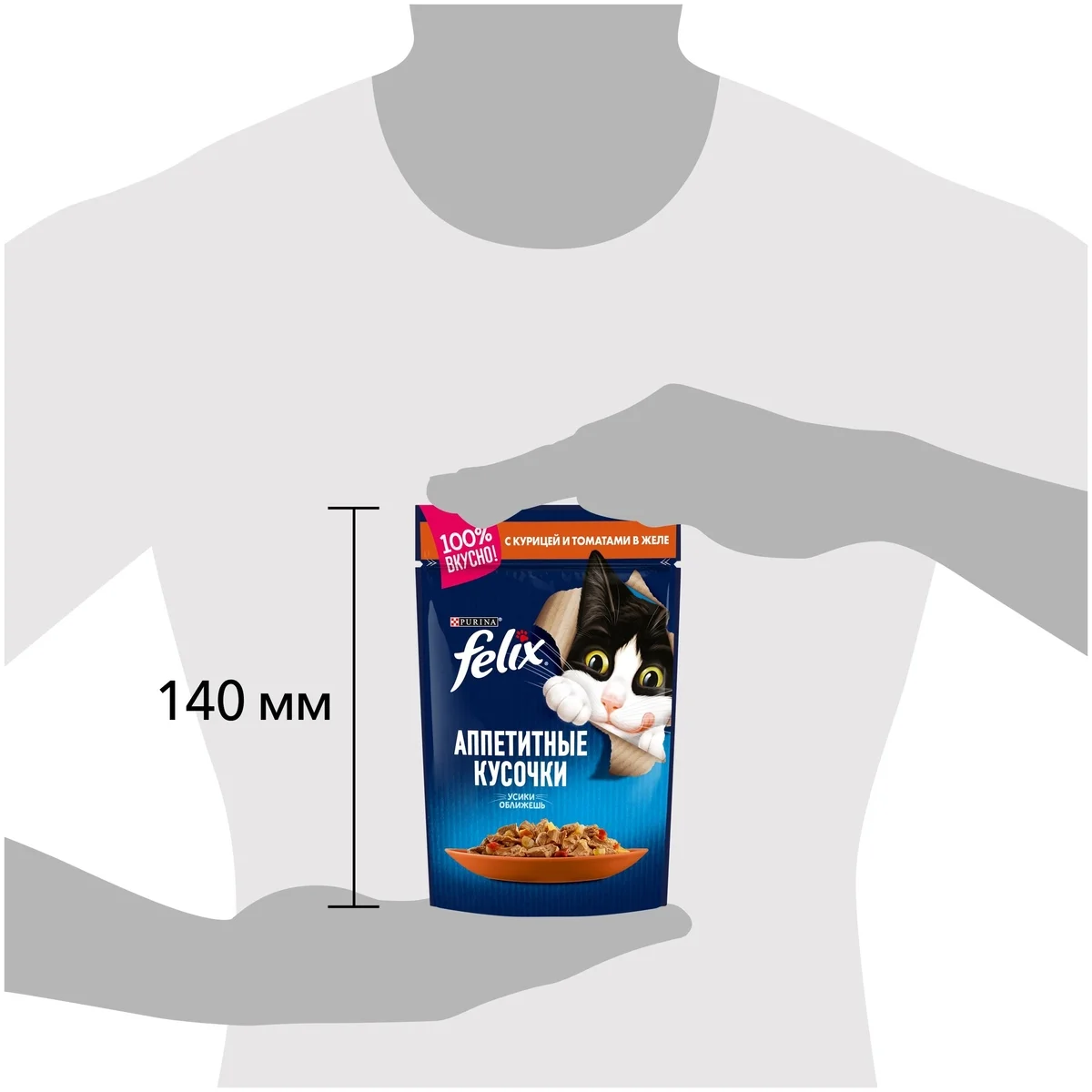 Корм для кошек PURINA Felix курица/томат 85 гр Казахстан