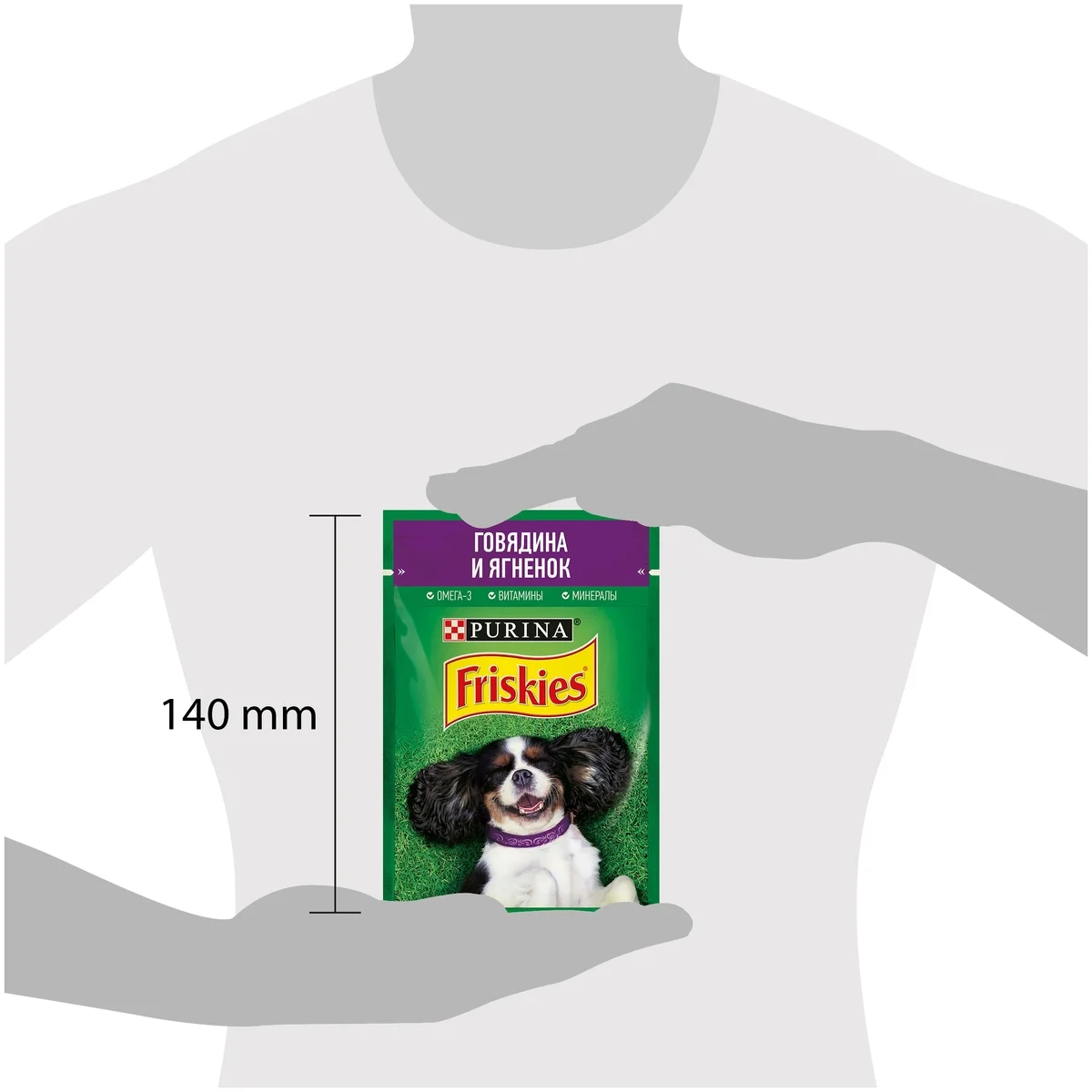 Корм для собак PURINA Friskies говядина/ягнёнок 85 гр заказать