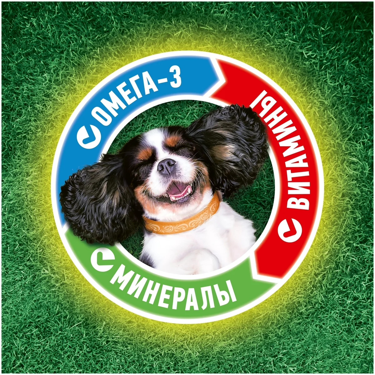 Корм для собак PURINA Friskies говядина/ягнёнок 85 гр Казахстан