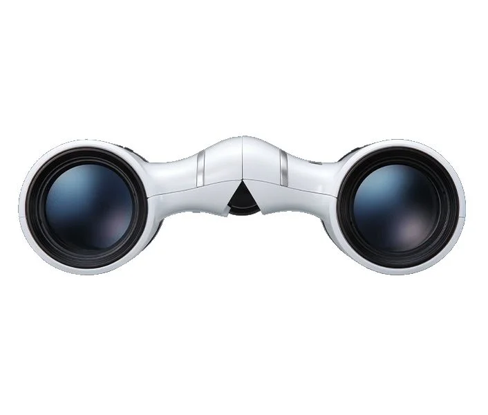 Картинка Бинокль NIKON Aculon T02 8x21 WHITE