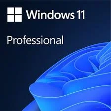 Лицензия MICROSOFT Windows 11 Professional 64 Bit USB Russian 1 пользователь KZ