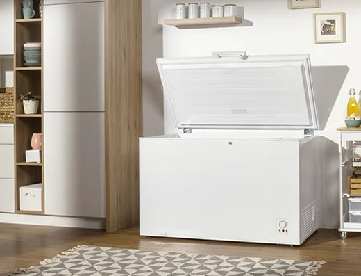 Картинка Морозильный ларь GORENJE FH251AW