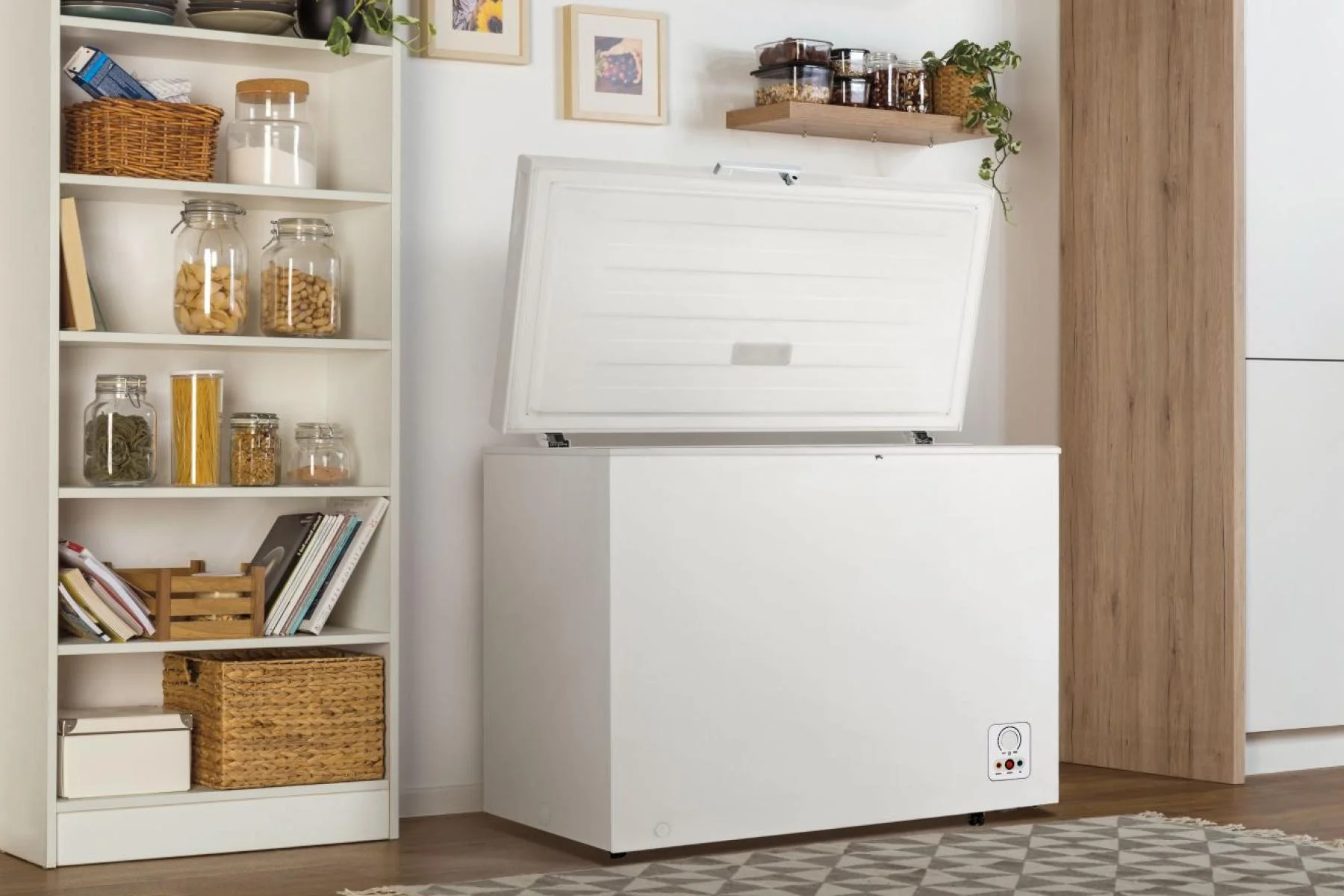 Купить Морозильный ларь GORENJE FH251AW