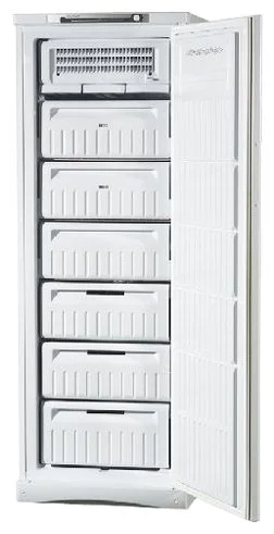 Фото Морозильная камера INDESIT SFR 167 NF C