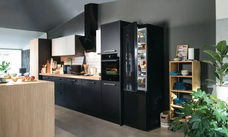 Пылесос GORENJE SVC216FMLBKII Казахстан