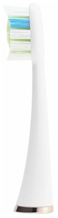Купить Зубная щетка POLARIS PETB 0101 TC