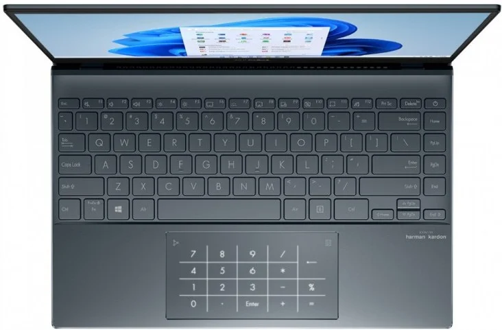 Фотография Ноутбук ASUS ZenBook UX325JA-EG035T Pine Grey (90NB0QY1-M02090)
