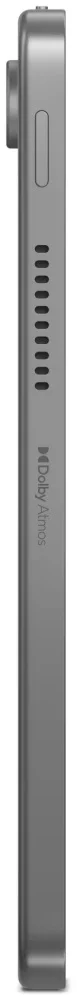 Планшет LENOVO TB311FU 4/64Gb Grey (ZAEH0008RU) заказать