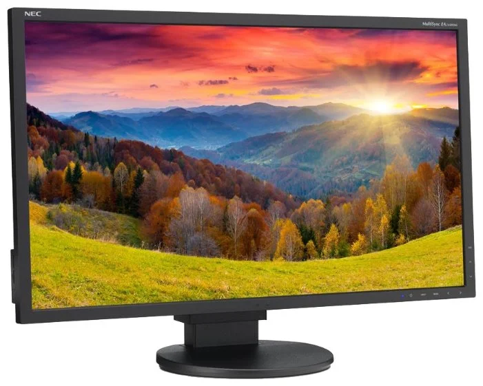 Фото Монитор NEC MultiSync EA244WMi-BK