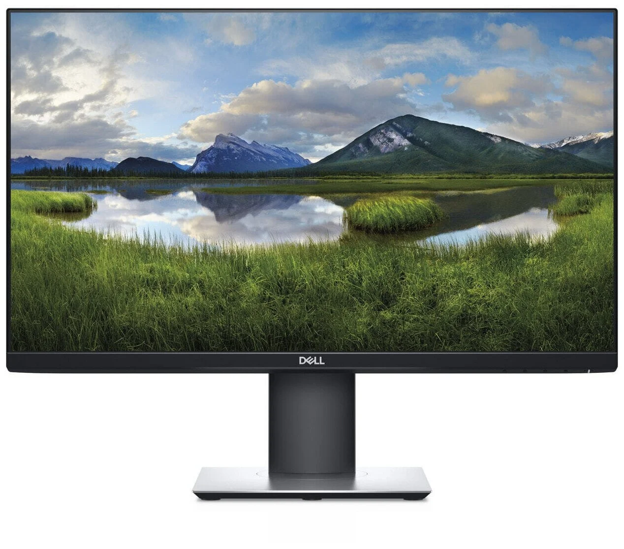 Монитор DELL P2423D (210-BDEG)