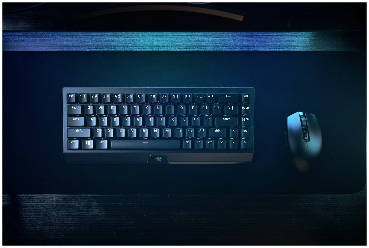 Клавиатура RAZER BlackWidow V3 Mini HyperSpeed (Green Switch) (RZ03-03891600-R3R1) Казахстан