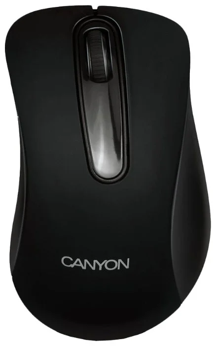 Фото Мышь CANYON CNE-CMSW2 Black (864019)