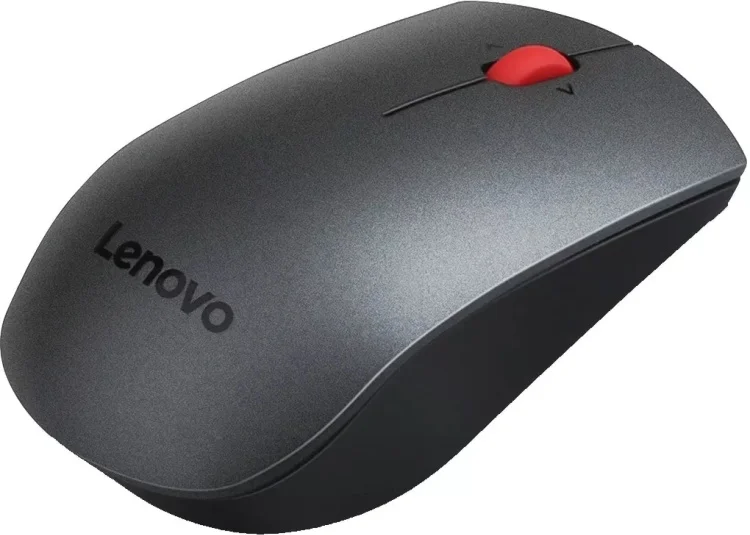 Фото Мышь LENOVO Professional Wireless Laser Mouse (4X30H56886)