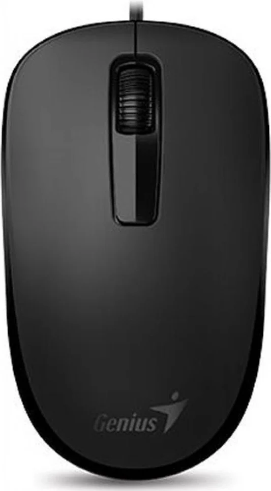 Мышь GENIUS DX-125 Black 31010106100