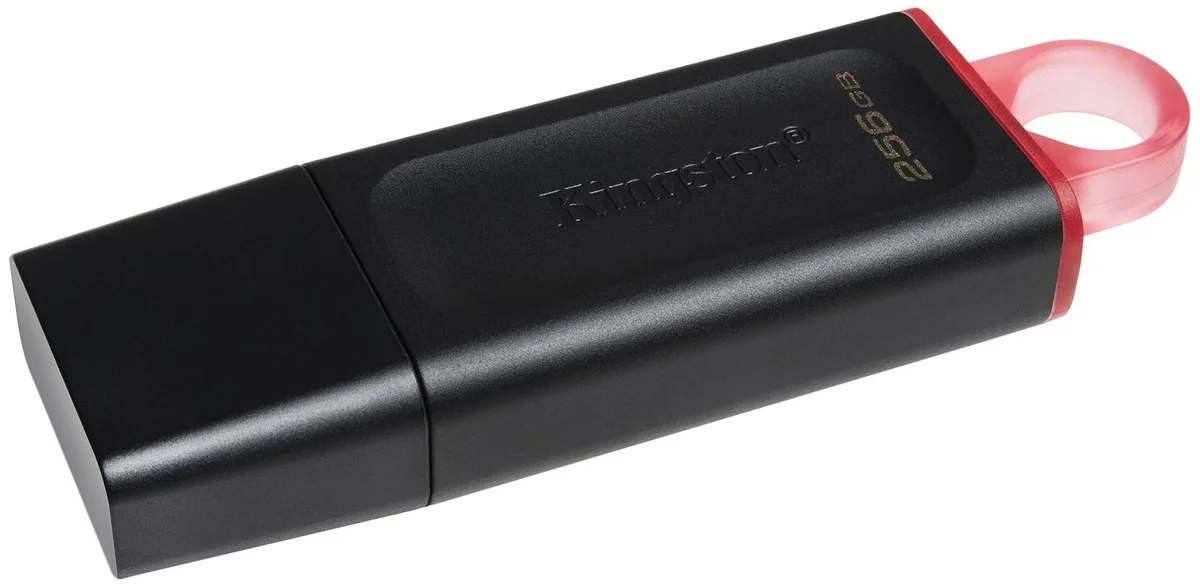 USB накопитель KINGSTON DTX/256Gb