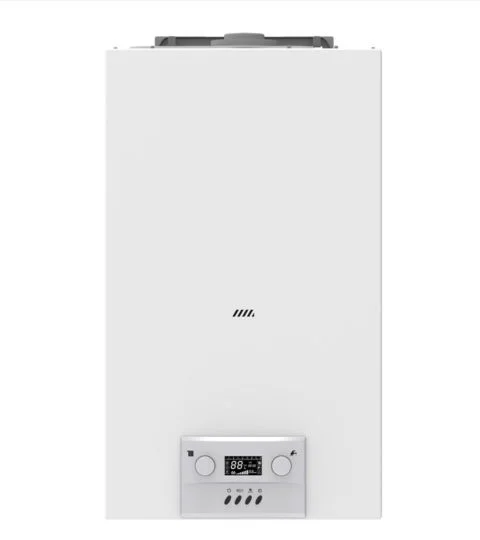 Фото Газовый котел HUBERT AGB 13 DX SMART + ДЫМОХОД