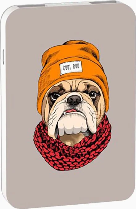 Power Bank RITMIX RPB-10007 Bulldog