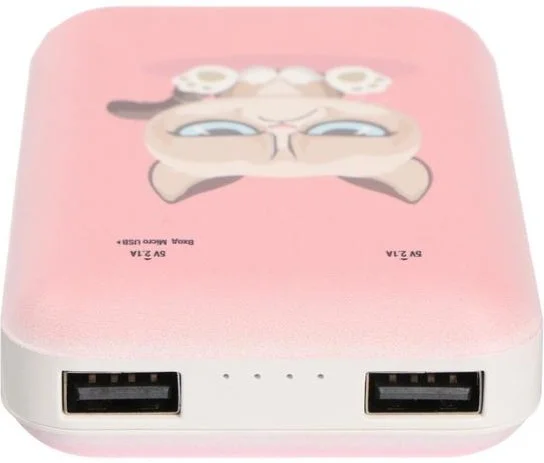 Фото Power Bank RITMIX RPB-10007 Grumpy Cat