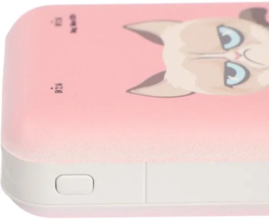 Картинка Power Bank RITMIX RPB-10007 Grumpy Cat