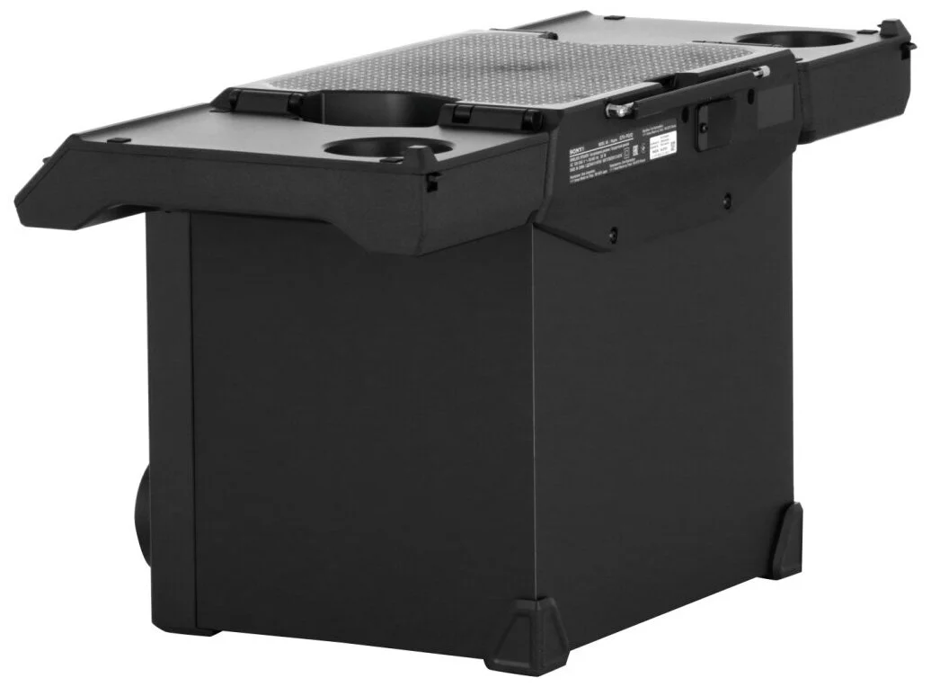 Портативная акустика SONY GTK-PG10 Black заказать