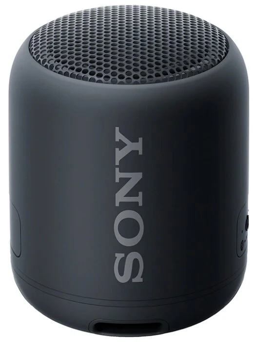 Портативная акустика SONY SRSXB12 Black