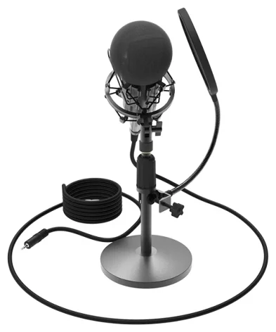 Фото Микрофон RITMIX RDM-175 Black