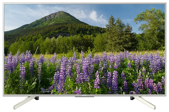 Фото LED телевизор SONY KD49XF7077SR2