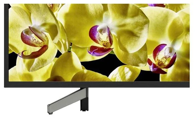 Купить LED телевизор SONY 55XG8096BR