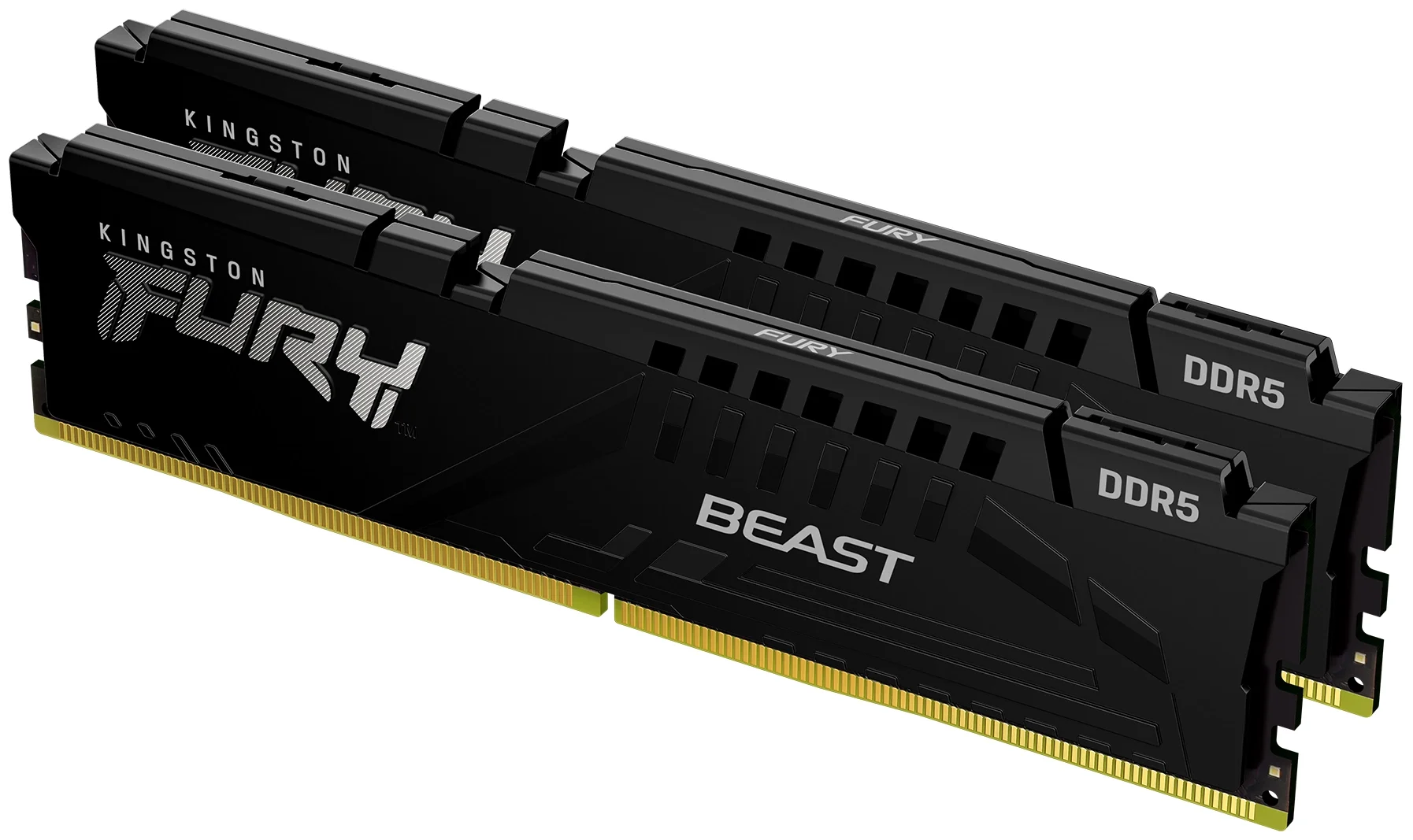Модуль памяти KINGSTON Fury Beast KF556C40BBK2-32 DDR5 заказать