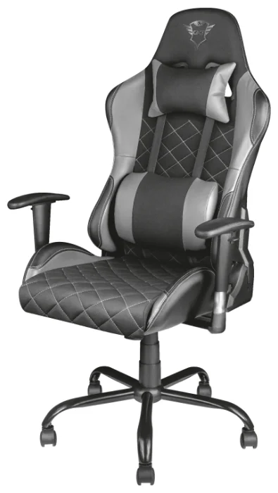 Фотография Игровое кресло TRUST GXT 707B Resto Grey
