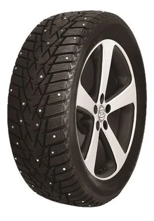 Фото Автомобильная шина зимняя DoubleStar DW01 225/60/R18 100 Q с шип.