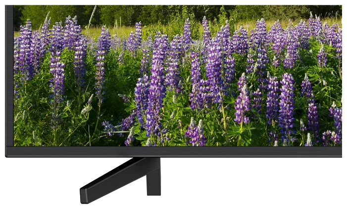 Картинка LED телевизор SONY KD65XF7096BR2