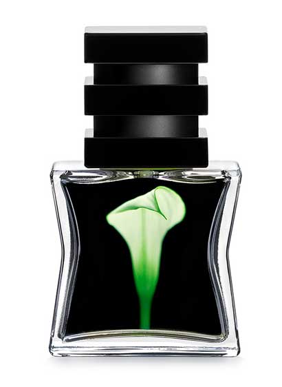 Парфюмированная вода SG79 STHL No22 Green Eau de Parfum 15 ml