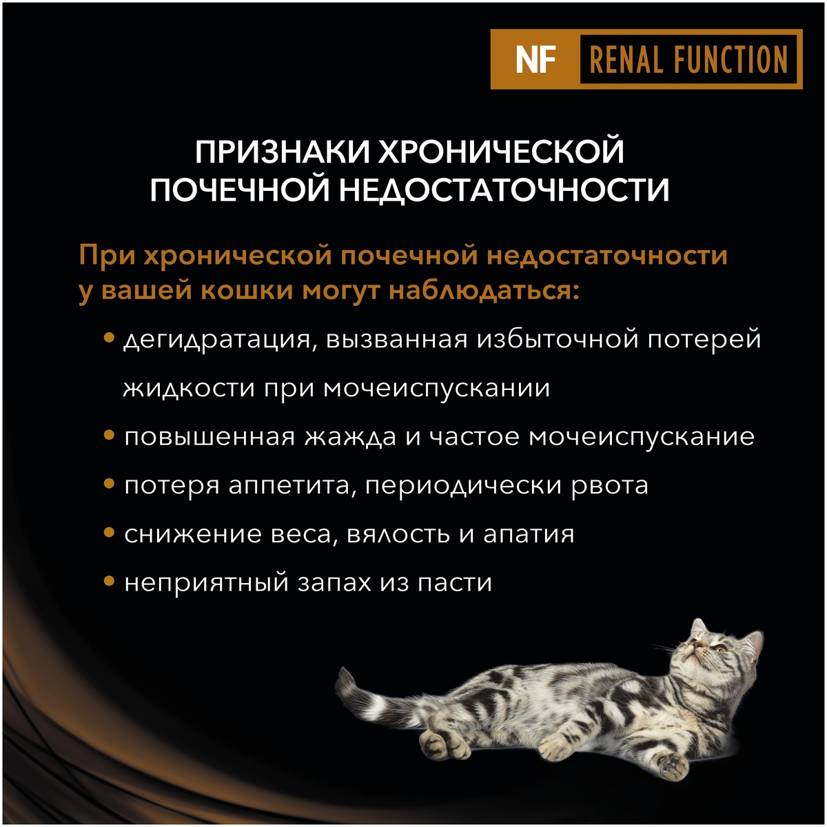 Корм для кошек PURINA Pro Plan VETERINARY DIETS Dry NF 350 гр заказать