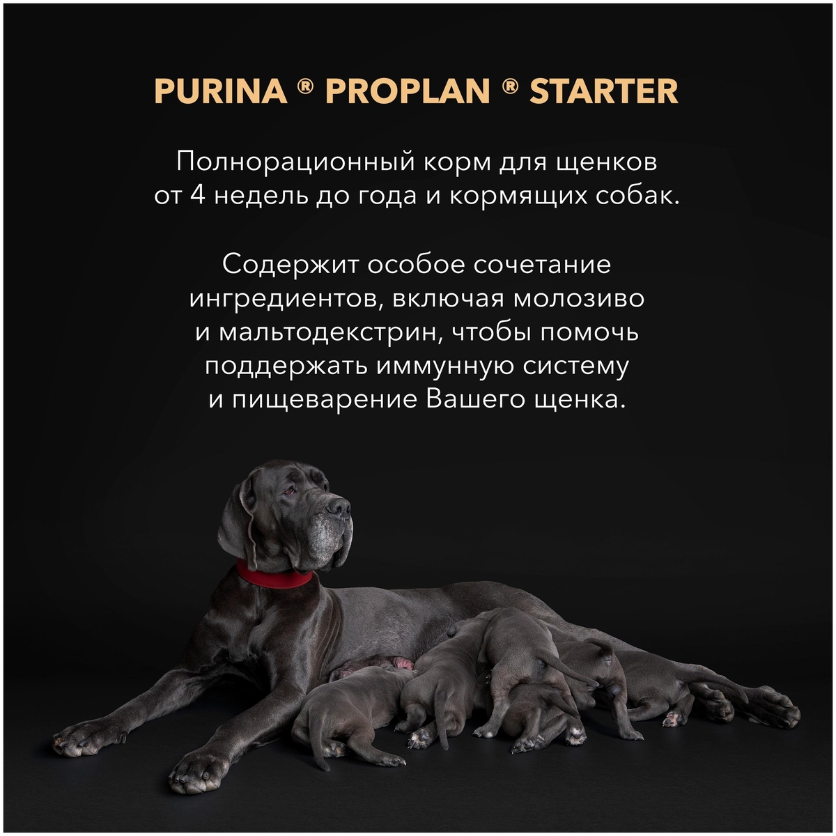 Купить Корм для собак PURINA Pro Plan Starter 3 кг