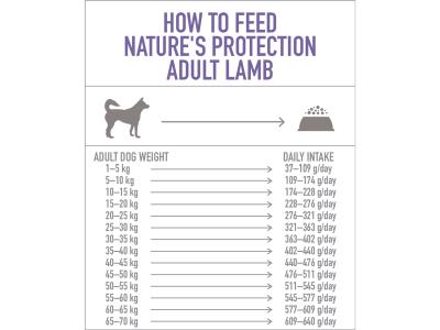 Фото Корм для взрослых собак с мясом ягненка NP Adult Lamb Breeder 18 кг