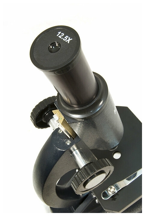 Купить Микроскоп LEVENHUK 2S NG