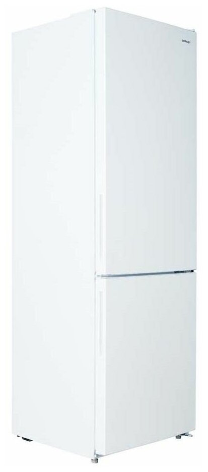 Картинка Холодильник ZARGET ZRB310NS1WM (310 IN WHITE)