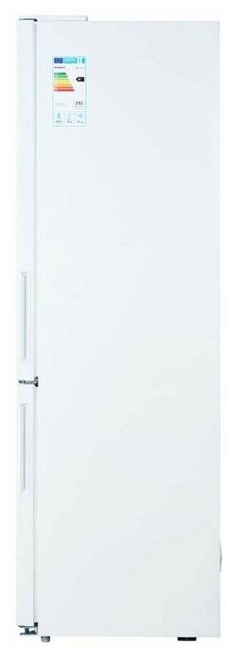 Картинка Холодильник ZARGET ZRB310DS1WM (310 EX WHITE)