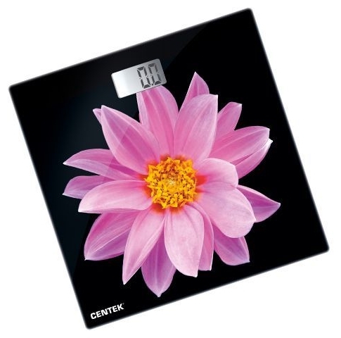 Фото Весы напольные CENTEK CT-2416 Pink Flower