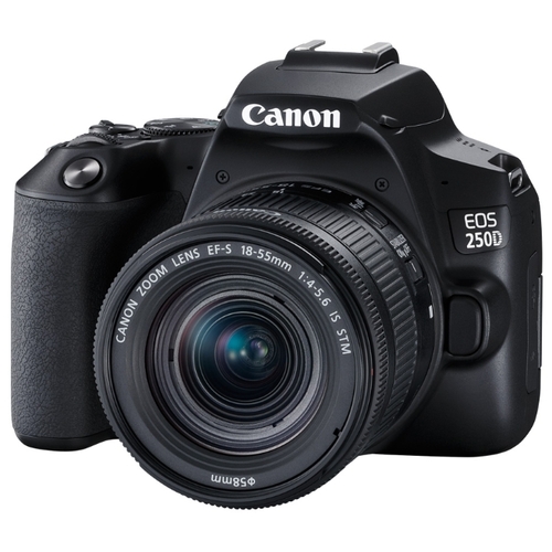 Фото Зеркальная фотокамера CANON EOS 250D EF-S 18-55 IS STM Kit Black