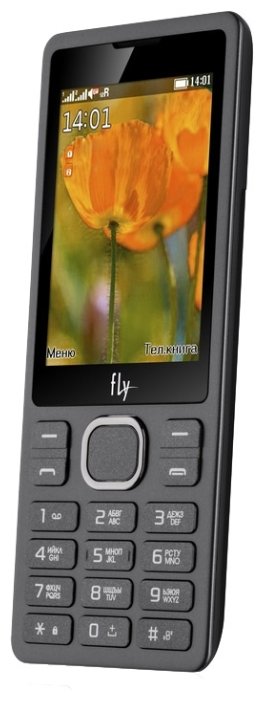 Мобильный телефон FLY FF282 Black