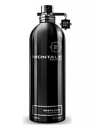 Парфюмированная вода Montale Greyland 100 ml