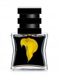 Парфюмированная вода SG79 STHL No23 Yellow Eau de Parfum 15 ml